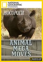 Мега переезды животных смотреть онлайн 1 сезон, 2010 Мега переезды животных смотреть онлайн 1 сезон, 2010