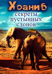 Хоаниб - секреты пустынных слонов, 2013