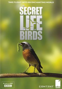 Тайная жизнь птиц, 2010