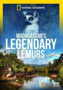 Легендарные лемуры Мадагаскара, 2015