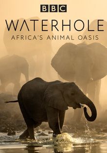 Водопой: Африканский Оазис для Животных, 2020