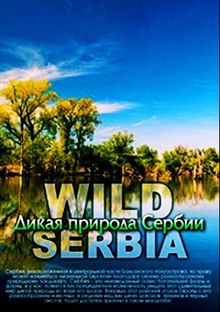 Дикая природа Сербии, 2011