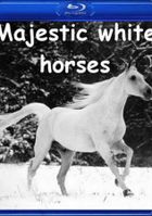 Королевские белые лошади. Испанская школа верховой езды в Вене