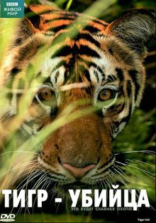 BBC: Живой Мир. Тигр - Убийца Смотреть Онлайн, 2007