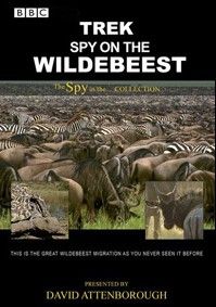 BBC. Дикая природа: шпион среди антилоп гну, 2007