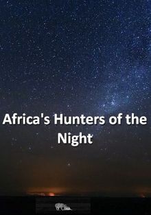 Африканские ночные охотники, 2020