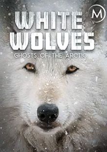 Белые волки: призраки Арктики, 2017