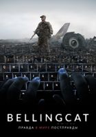 Bellingcat: Правда в мире постправды
