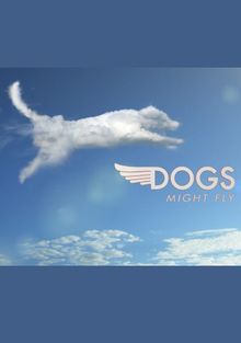 Собаки могут летать, 2016