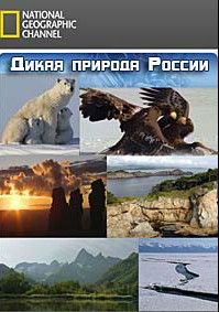 Дикая природа России, 2009