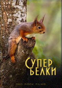 Супер белки Супер белки, 2014