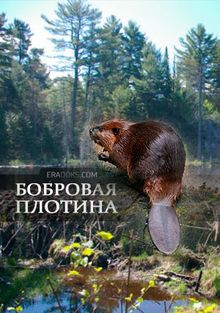 National Geographic: Бобровая плотина National Geographic: Бобровая плотина, 2009