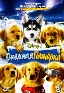 Снежная пятерка Снежная пятерка, 2008
