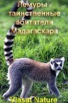 Лемуры - таинственные обитатели Мадагаскара