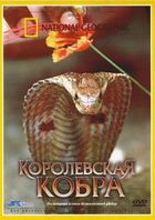 National Geografic: Королевская кобра