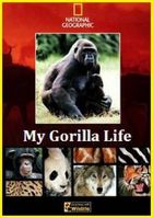 National Geographic. Моя жизнь с гориллами