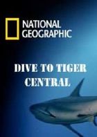 National Geographic: Погружение в царство тигровых акул