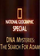 Загадки ДНК: поиски Адама