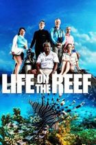 Жизнь на Большом Барьерном рифе