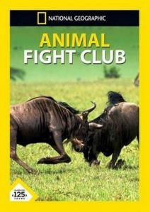 National Geographic: Бойцовский клуб для животных, 2013